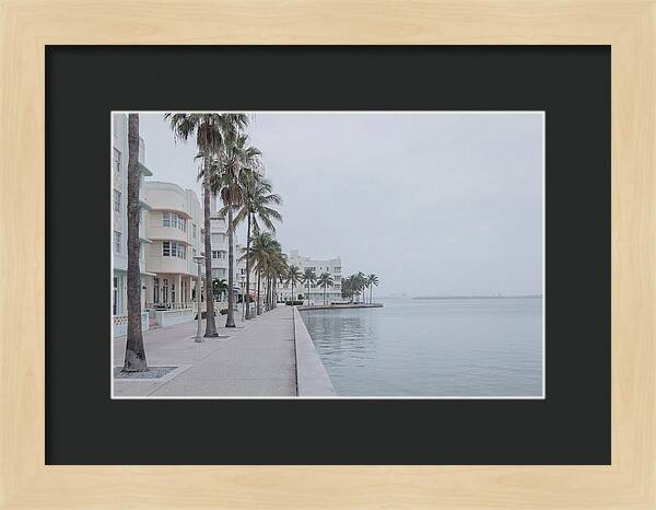 Waterfront Promenade Serenity