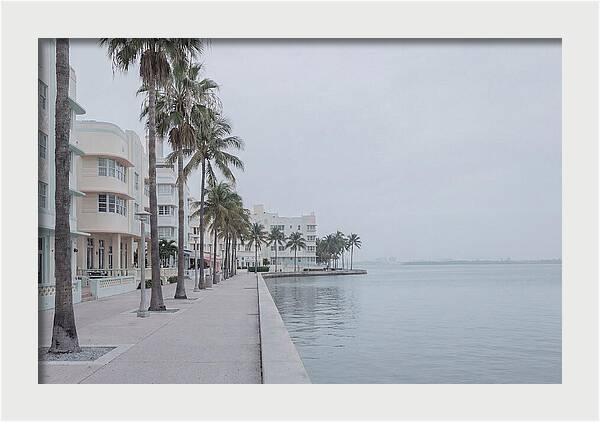 Waterfront Promenade Serenity