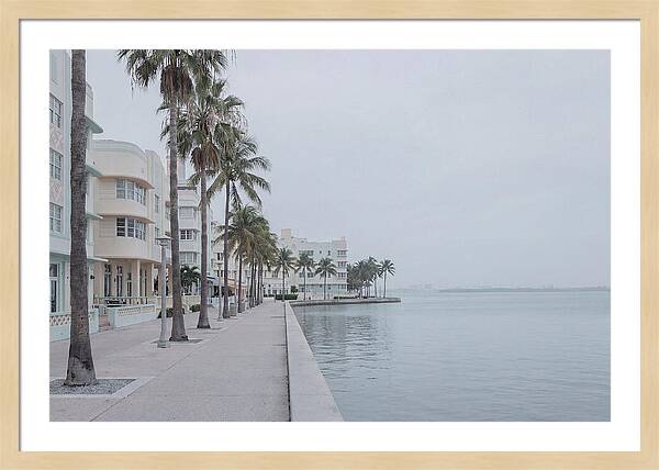 Waterfront Promenade Serenity