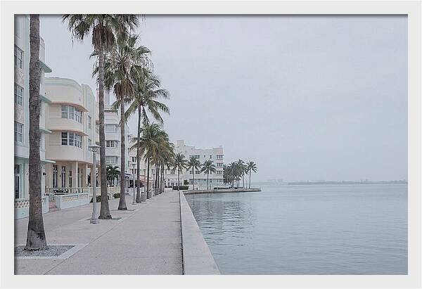 Waterfront Promenade Serenity