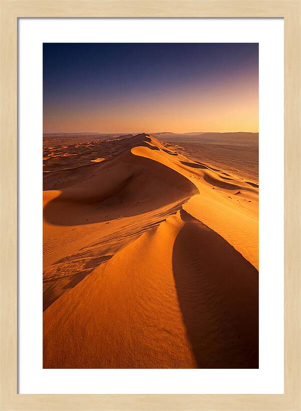 Waves Of Golden Dunes