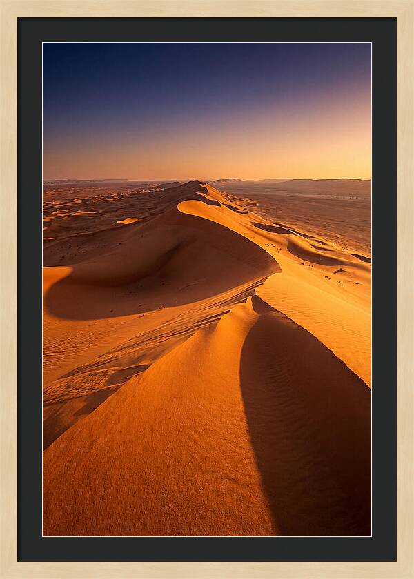 Waves Of Golden Dunes