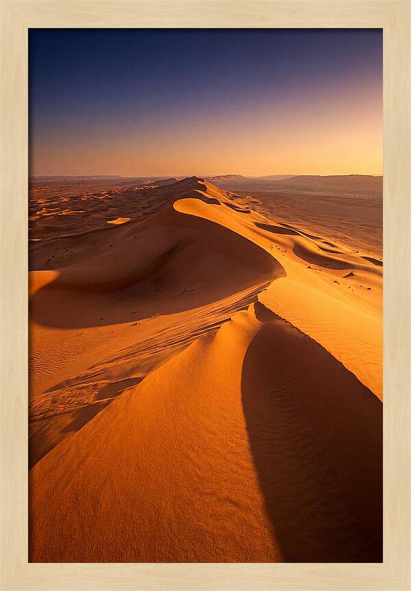 Waves Of Golden Dunes