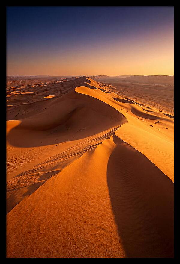 Waves Of Golden Dunes