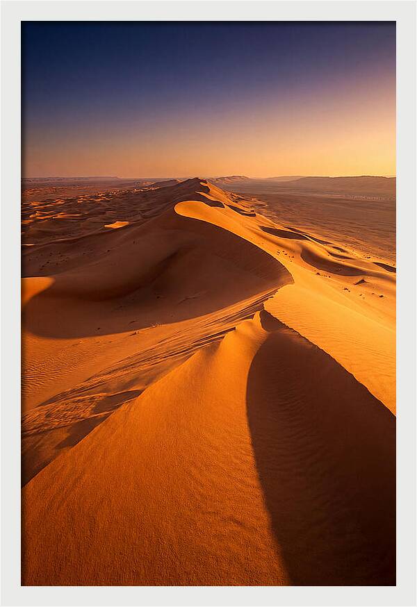 Waves Of Golden Dunes