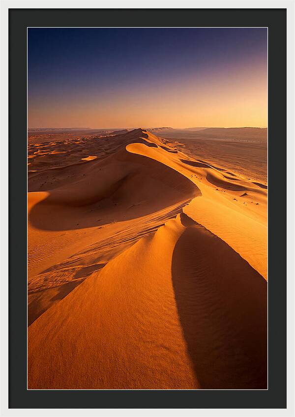 Waves Of Golden Dunes