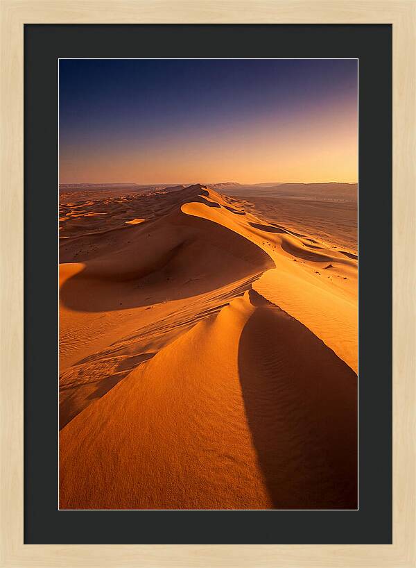 Waves Of Golden Dunes