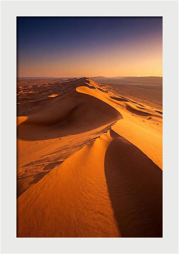Waves Of Golden Dunes