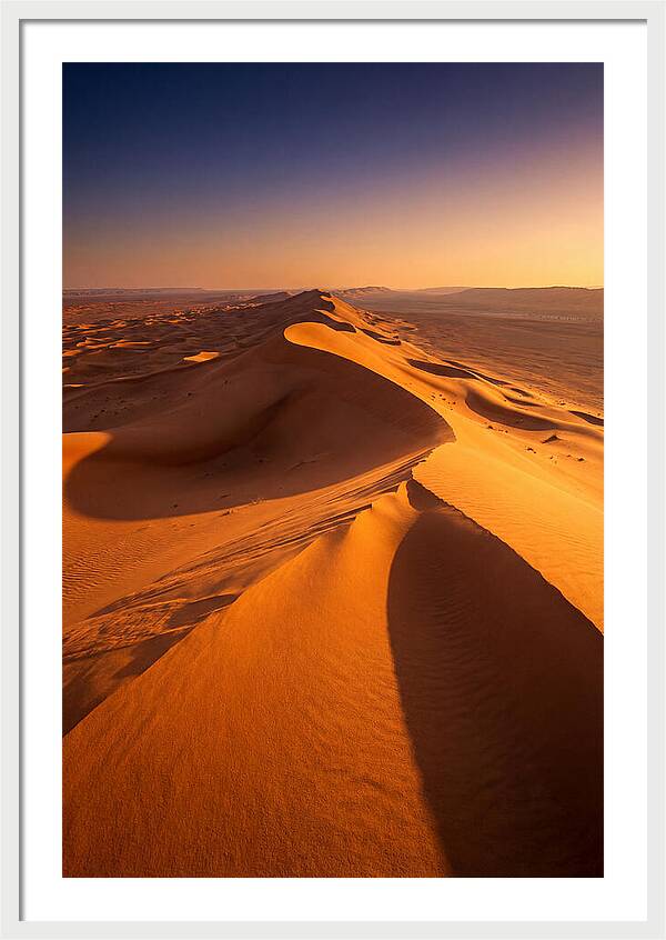 Waves Of Golden Dunes