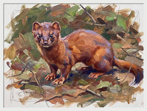 Weasel Among Leaves