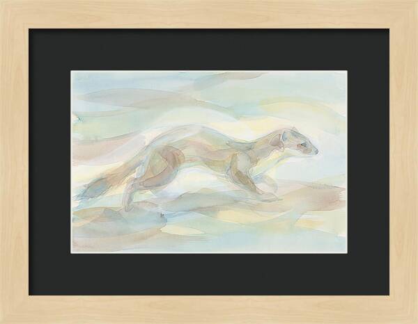 Weasel In Motion