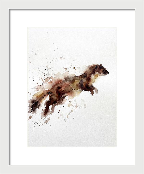 Weasel In Motion