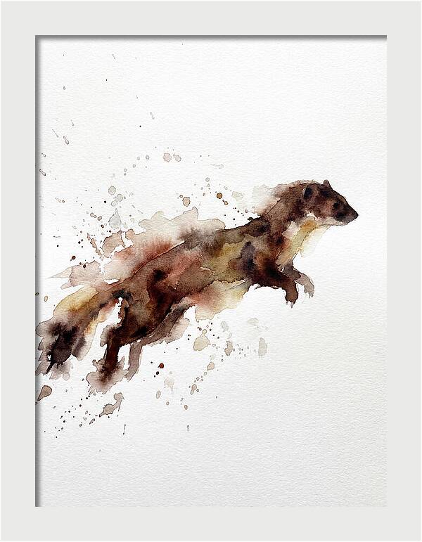 Weasel In Motion