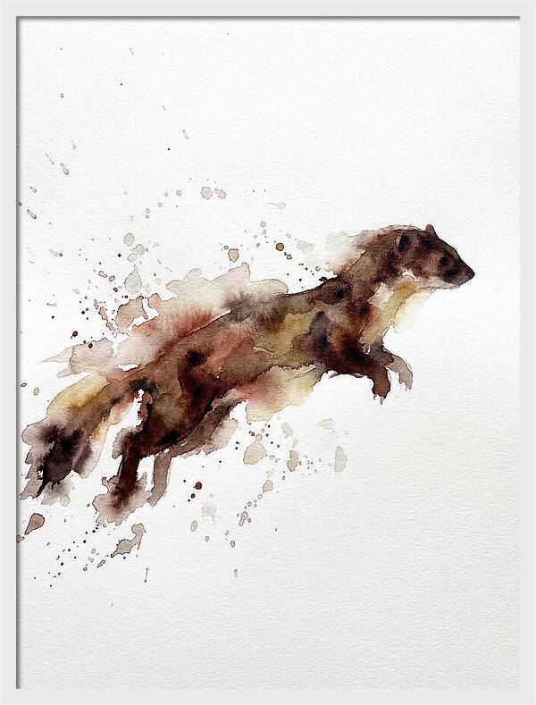 Weasel In Motion