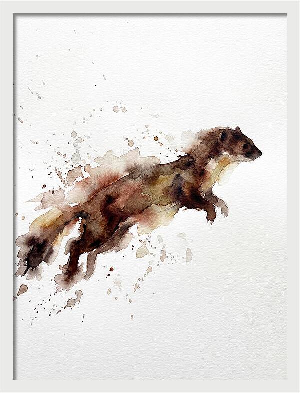 Weasel In Motion