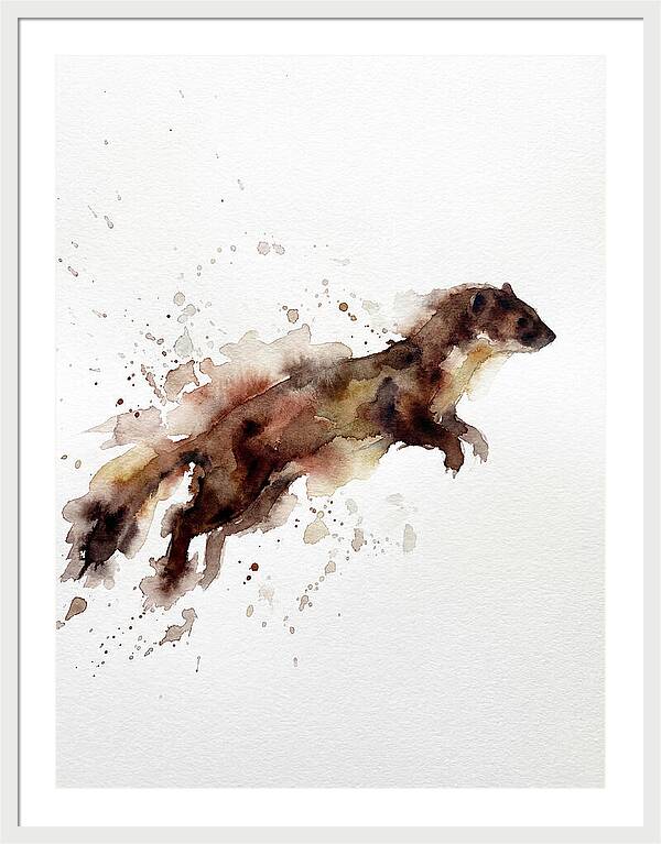Weasel In Motion