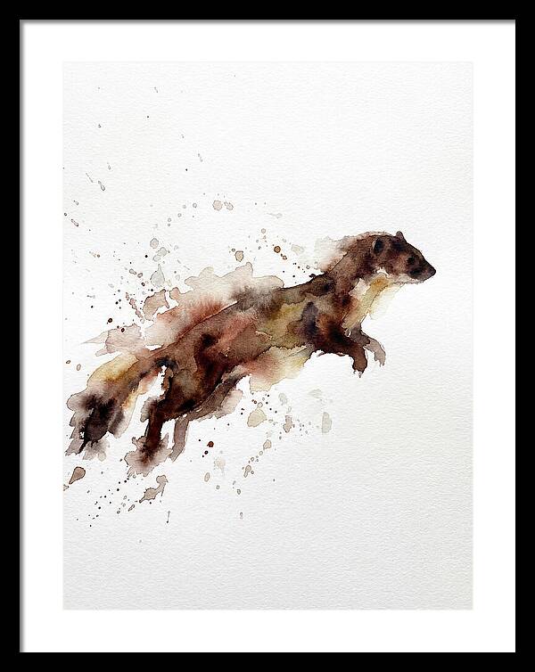 Weasel In Motion