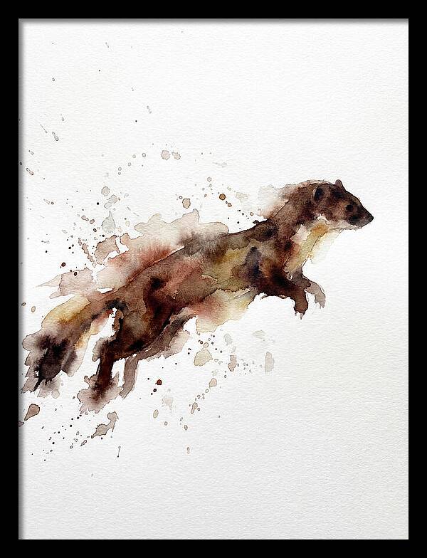 Weasel In Motion