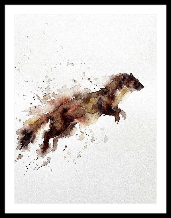 Weasel In Motion