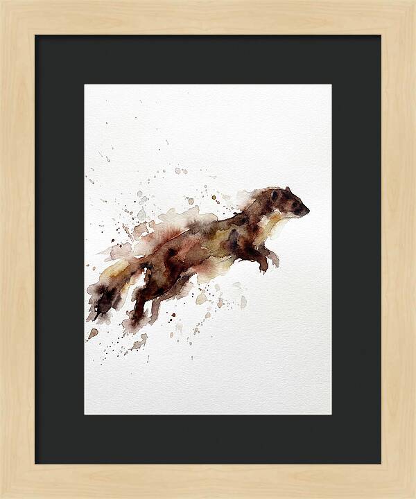 Weasel In Motion