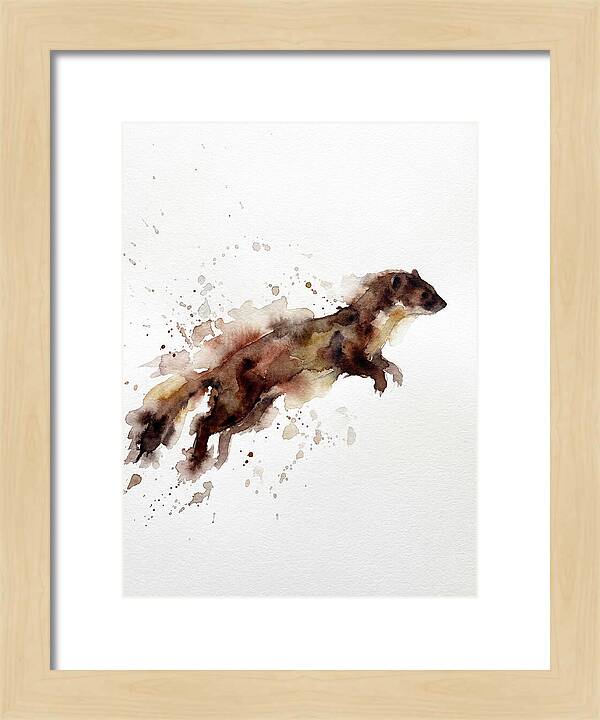 Weasel In Motion