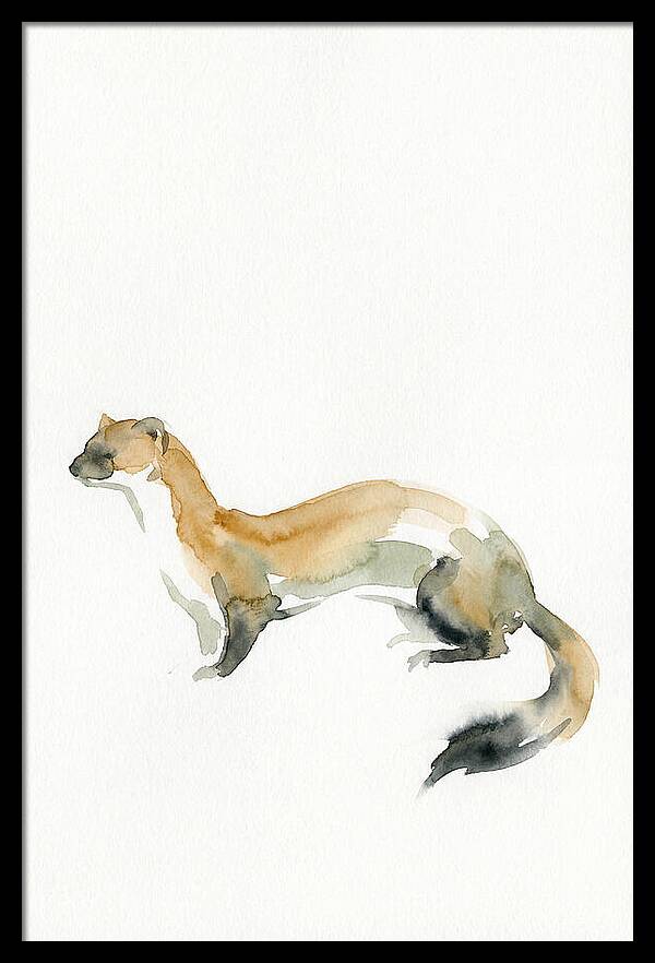 Weasel In Watercolor Elegance