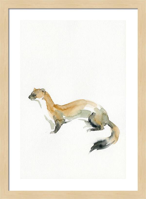 Weasel In Watercolor Elegance