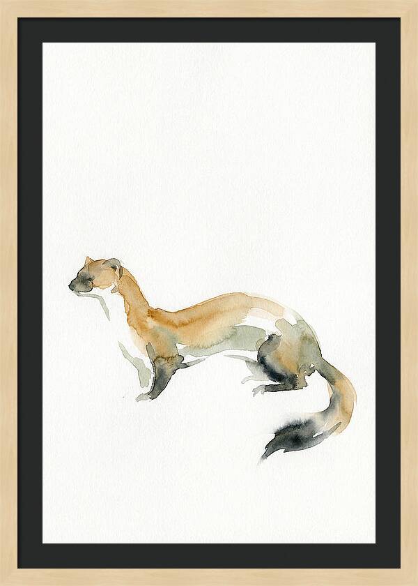 Weasel In Watercolor Elegance