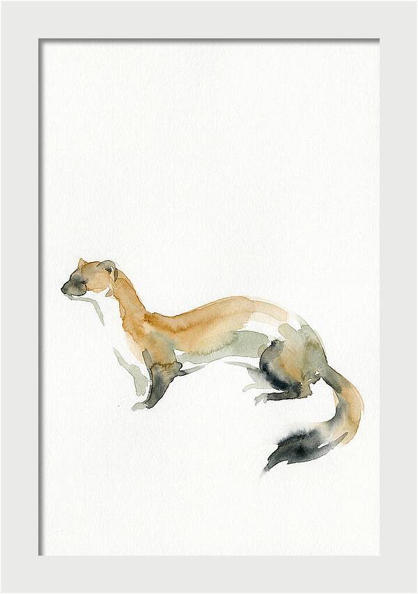 Weasel In Watercolor Elegance