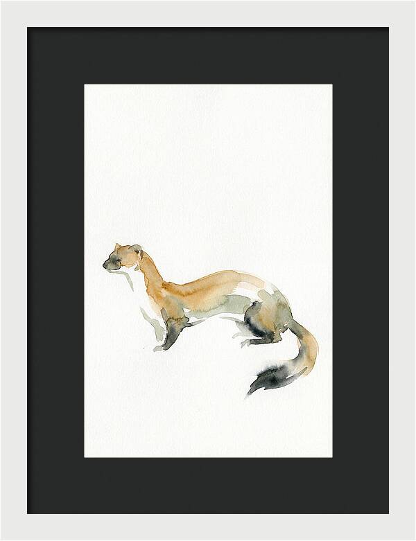Weasel In Watercolor Elegance