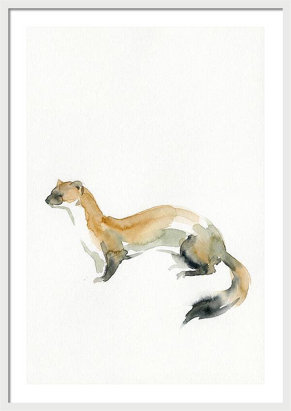 Weasel In Watercolor Elegance