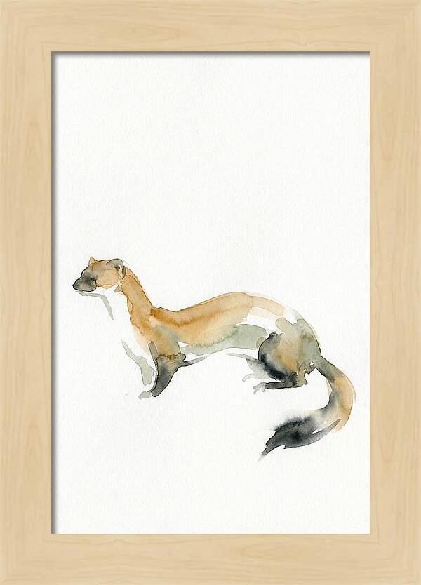 Weasel In Watercolor Elegance