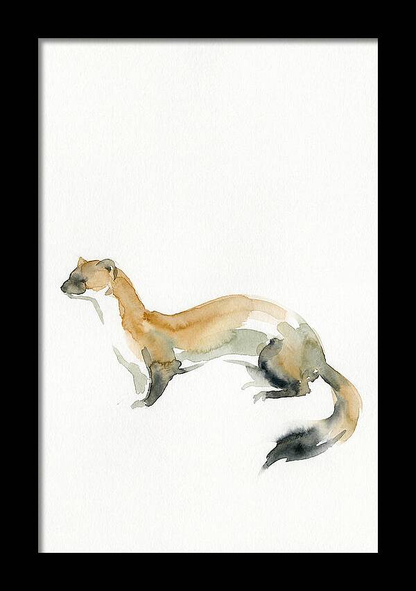 Weasel In Watercolor Elegance