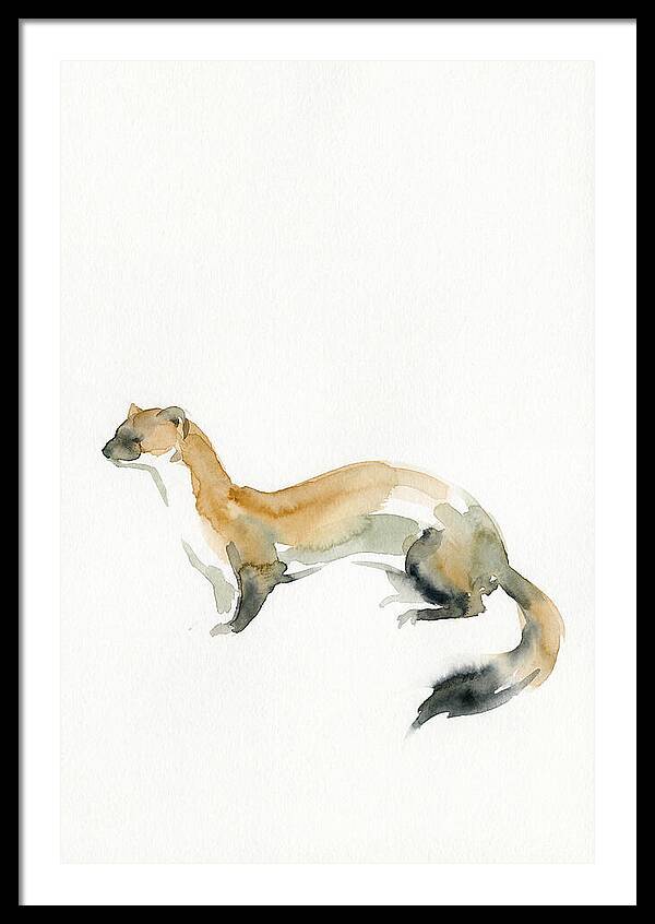 Weasel In Watercolor Elegance