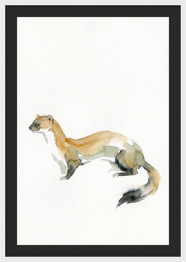 Weasel In Watercolor Elegance