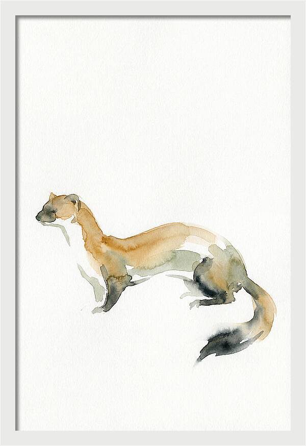 Weasel In Watercolor Elegance