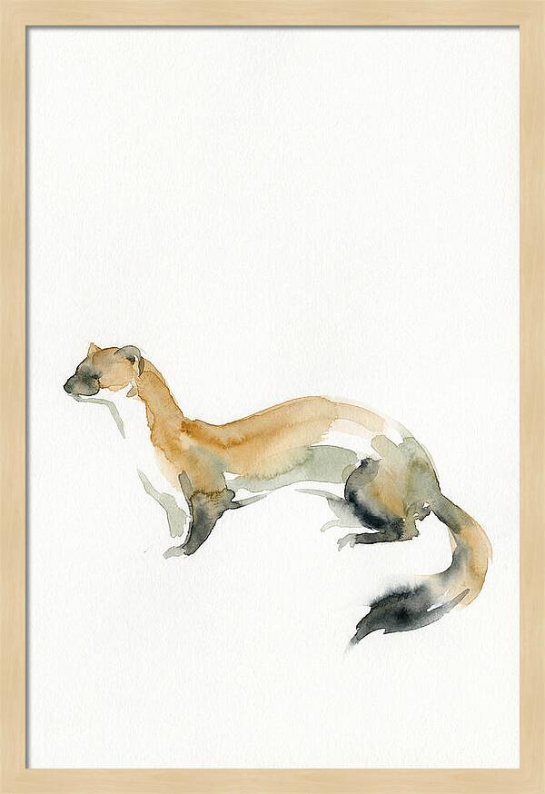 Weasel In Watercolor Elegance
