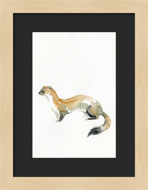 Weasel In Watercolor Elegance