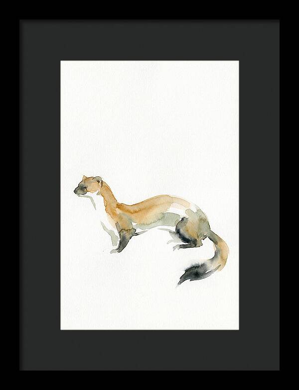 Weasel In Watercolor Elegance
