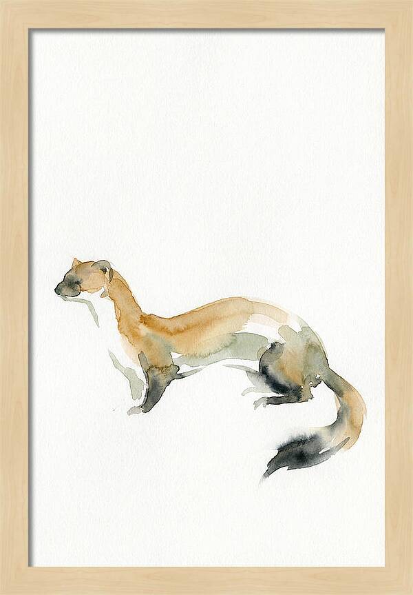 Weasel In Watercolor Elegance