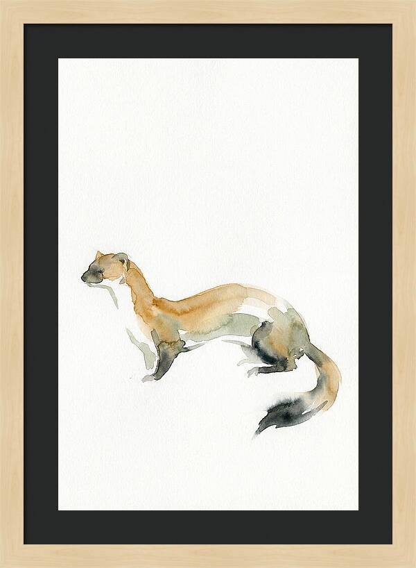 Weasel In Watercolor Elegance