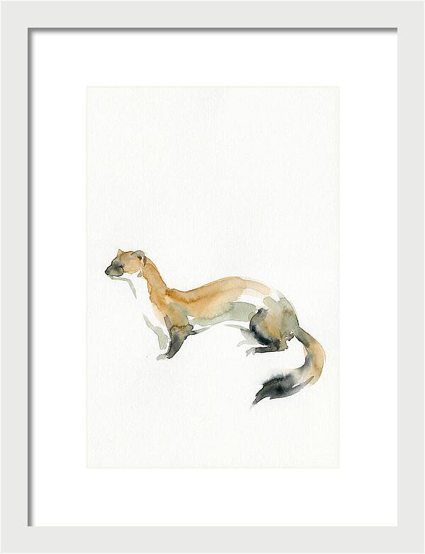 Weasel In Watercolor Elegance