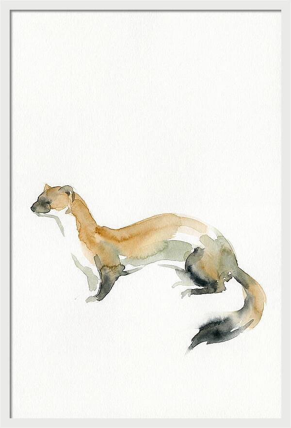 Weasel In Watercolor Elegance