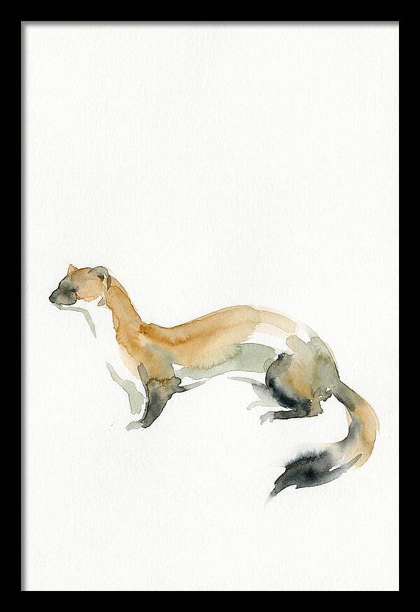 Weasel In Watercolor Elegance