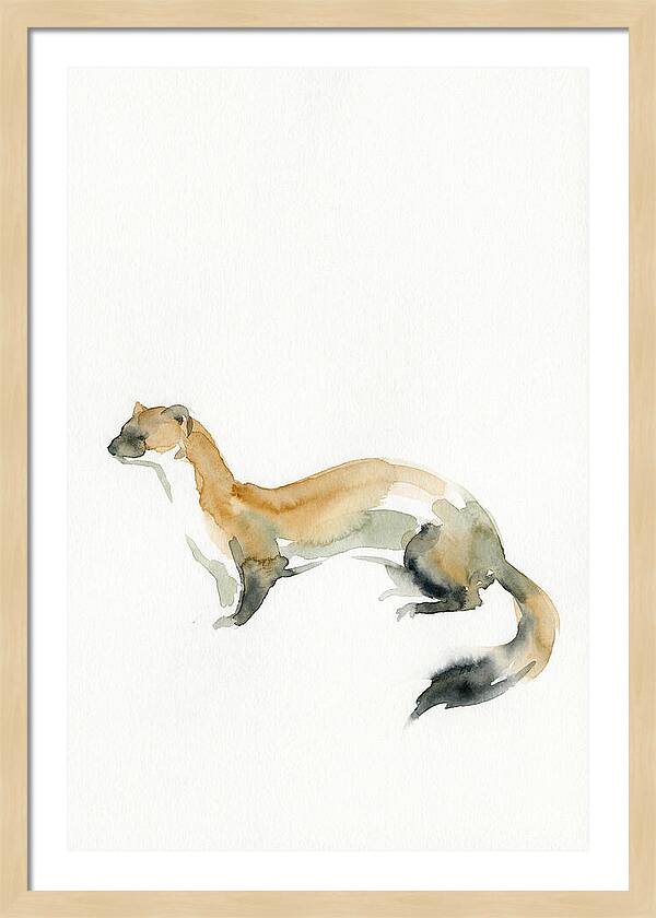 Weasel In Watercolor Elegance