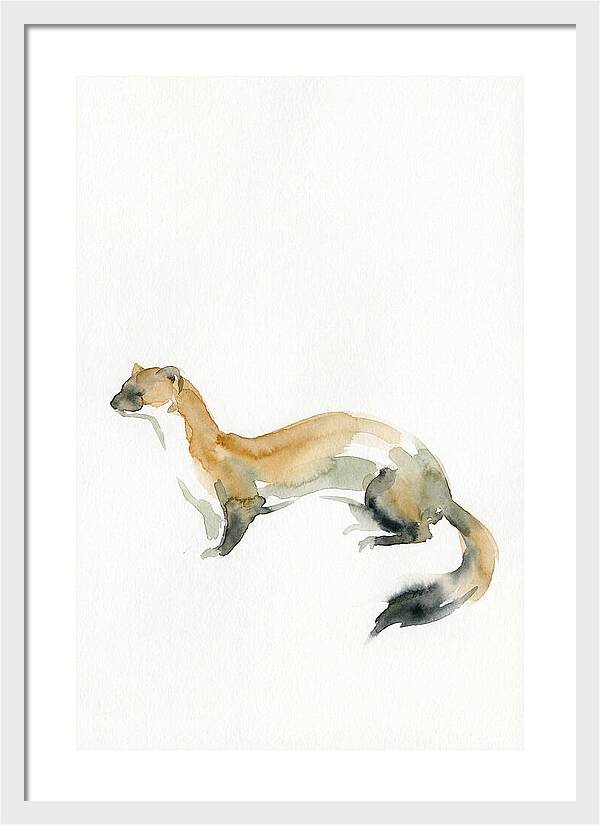 Weasel In Watercolor Elegance