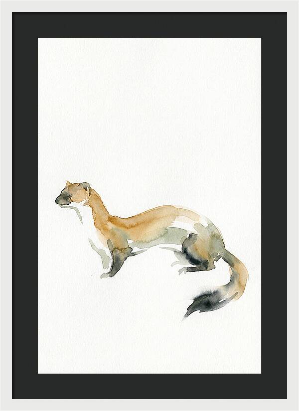 Weasel In Watercolor Elegance