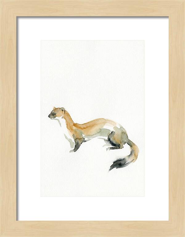 Weasel In Watercolor Elegance