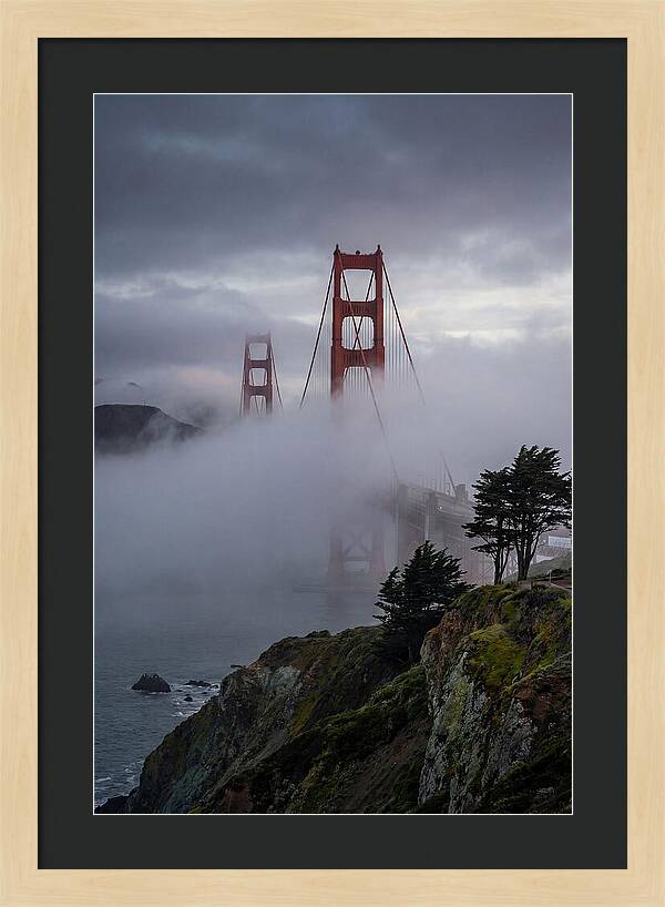 Weather Fog Gate