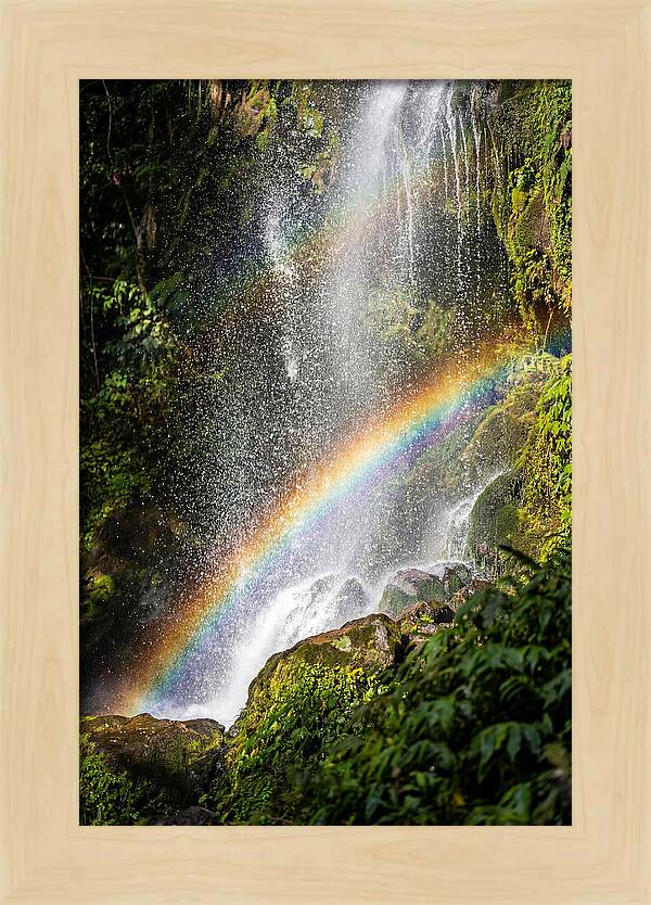 Weather Rainbow Spray